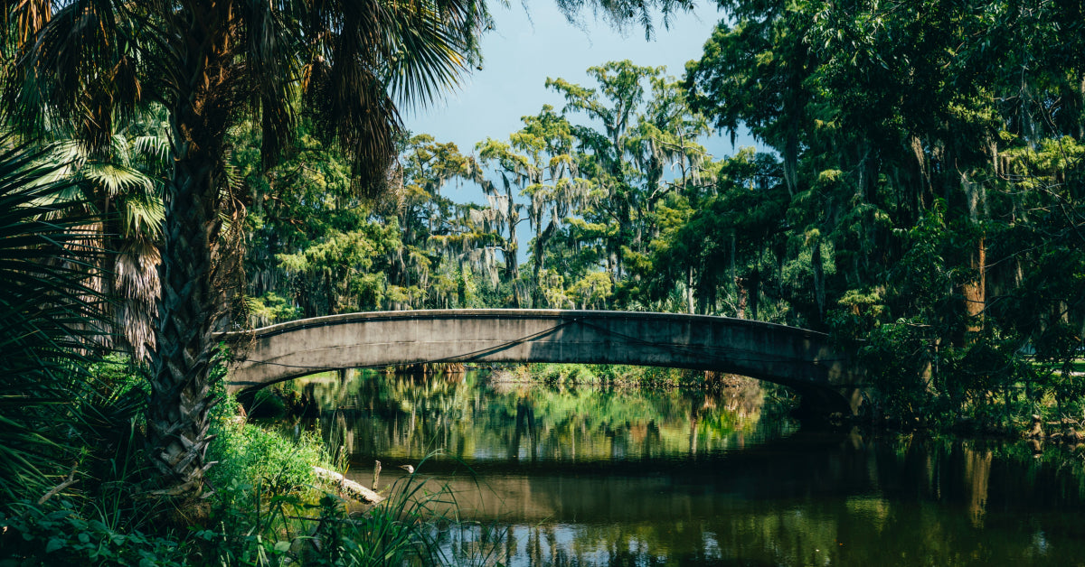 15 Family Offices in Louisiana