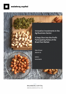 Research Report: Innovative Investments in the Agribusiness Sector: A Deep Dive into the Profit-Participating Notes of the Brazil Nut Market