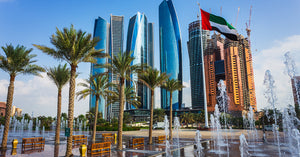 212 High-Net-Worth Individuals and Angels in United Arab Emirates